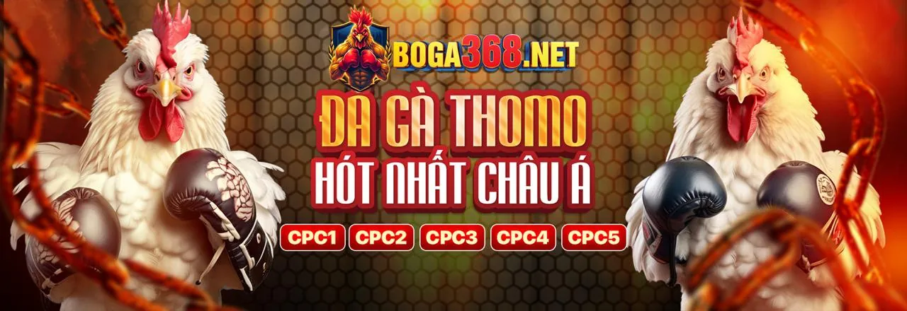 Nền tảng bảo mật