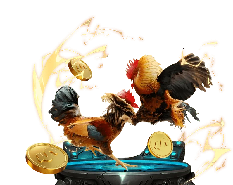 Hình ảnh tổng hợp các môn thể thao đa dạng tại 6ff13